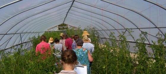 Farm Walk Notes