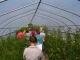 Farm Walk Notes