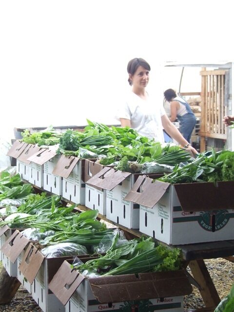 So Much Abundance