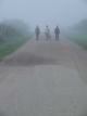 Walking Out to the Farm