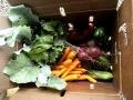 Carrots, Beets and More