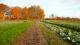 Fall at the SOF
