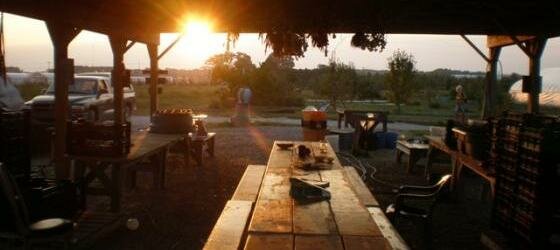 Sunset in Washpack