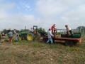 Winter Squash Harvest