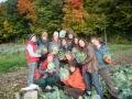 Cabbage Harvest of Love